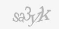 Aizsardzības kods